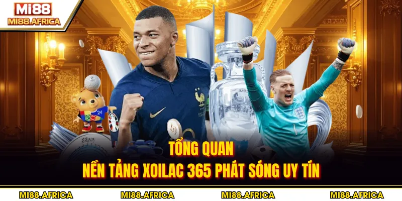Tổng quan nền tảng Xoilac 365 phát sóng uy tín